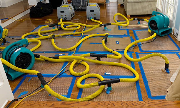Professional Burst Pipe Water Damage technician working in Hawthorne, FL